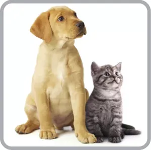 Rowenta RO3786EA - animal care